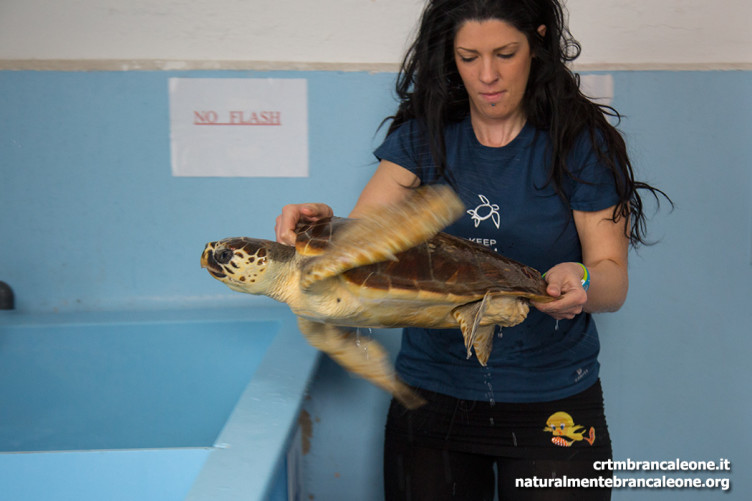 Centro Recupero Tartarughe Marine di Brancaleone