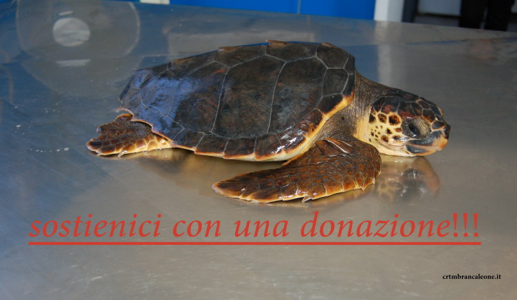 sostienici