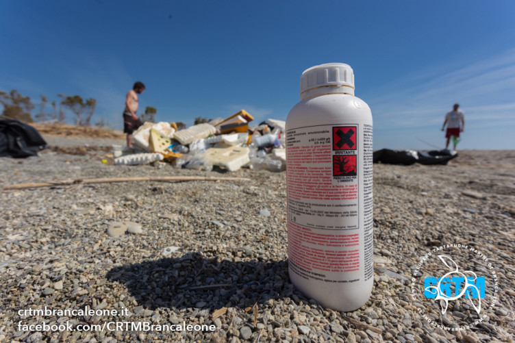 2015_06_08_pulizia_spiaggia_9