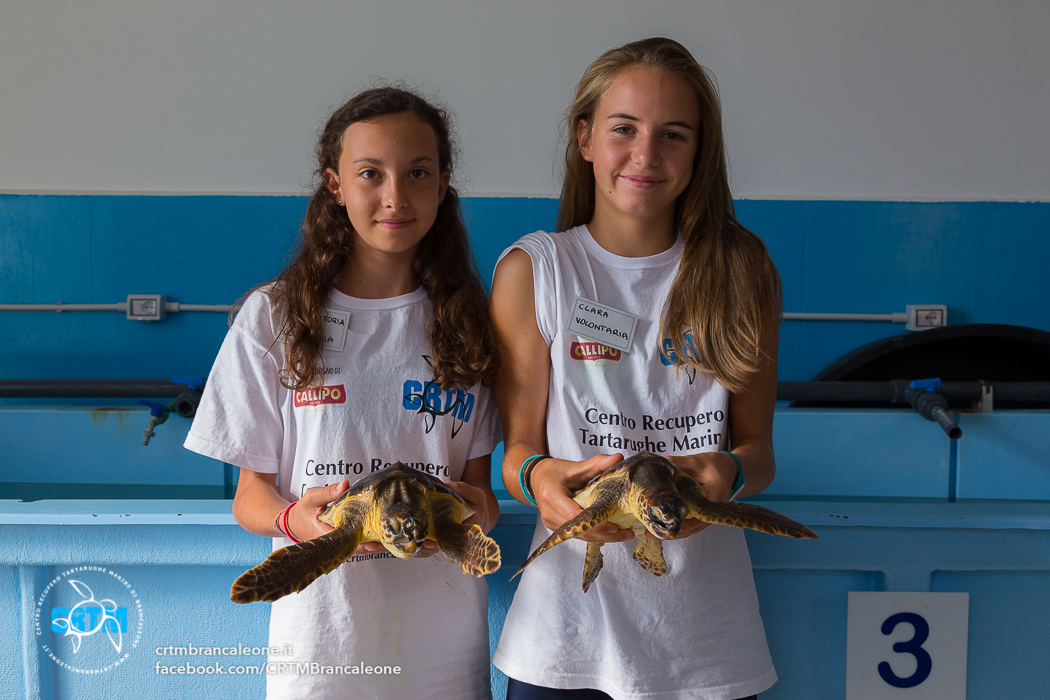 2016_08_26_Liberazione_Greta_Centro_Recupero_tartarughe_marine_di_Brancaleone_001