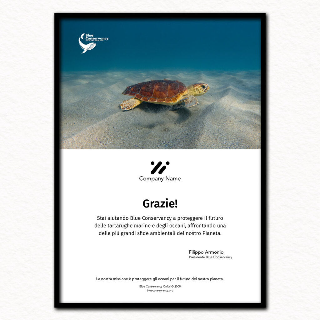 Adozione Business - immagine 2
