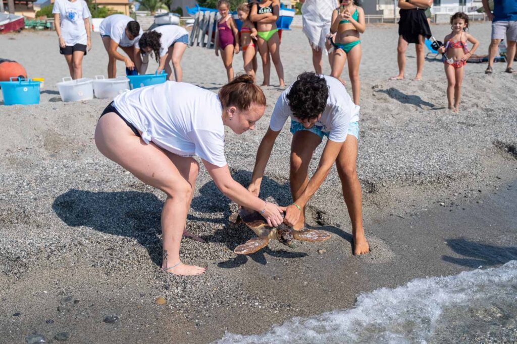 Due volontari del Centro Recupero Tartarughe Marine di Brancaleone, durante il rilascio di una tartaruga marina Caretta caretta